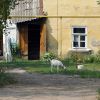 Файл=img_5766.jpg
Объём=317КБ
Размеры=800x800
Дата=Июль 25, 2013 img_5766.jpg