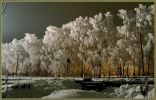 Файл=Image002~0.jpg
Объём=168КБ
Размеры=800x510
Дата=Нояб 15, 2009 Image002~0.jpg