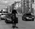 Файл=коняшка_к_отправке.jpg
Объём=148КБ
Размеры=800x672
Дата=Сент 09, 2007 коняшка_к_отправке.jpg