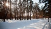 Файл=IMG_0660.jpg
Объём=289КБ
Размеры=600x338
Дата=Март 09, 2012 IMG_0660.jpg