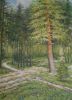Файл=pic_art_k_13.jpg
Объём=84КБ
Размеры=500x688
Дата=Сент 13, 2004 pic_art_k_13.jpg