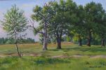 Файл=pic_art_shmelev_43.jpg
Объём=56КБ
Размеры=500x330
Дата=Окт 21, 2004 pic_art_shmelev_43.jpg