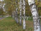 Файл=pic_m_0410_21.jpg
Объём=94КБ
Размеры=500x375
Дата=Окт 14, 2004 pic_m_0410_21.jpg