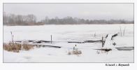 Файл=pic_m_ns_125.jpg
Объём=160КБ
Размеры=730x371
Дата=Окт 02, 2005 pic_m_ns_125.jpg