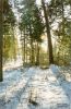 Файл=pic_m_vm_08_along_ski_track.jpg
Объём=90КБ
Размеры=392x600
Дата=Апр 12, 2005 pic_m_vm_08_along_ski_track.jpg