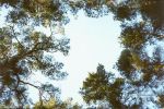 Файл=pic_m_vm_09_look_upward.jpg
Объём=109КБ
Размеры=700x464
Дата=Апр 12, 2005 pic_m_vm_09_look_upward.jpg