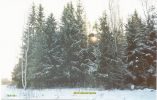 Файл=pic_m_vm_10_ski_track_end.jpg
Объём=83КБ
Размеры=700x445
Дата=Апр 12, 2005 pic_m_vm_10_ski_track_end.jpg